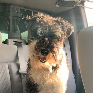 Meet your Posher, Victoria